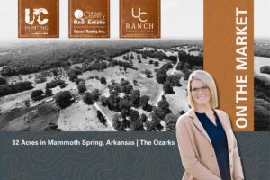 Property photo for land for sale in Fulton County Arkansas