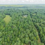 Property photo for land for sale in Tippah County Mississippi