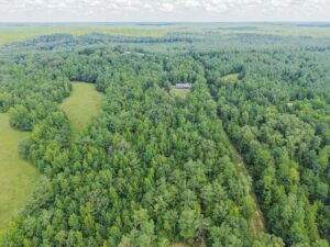 Property photo for land for sale in Tippah County Mississippi
