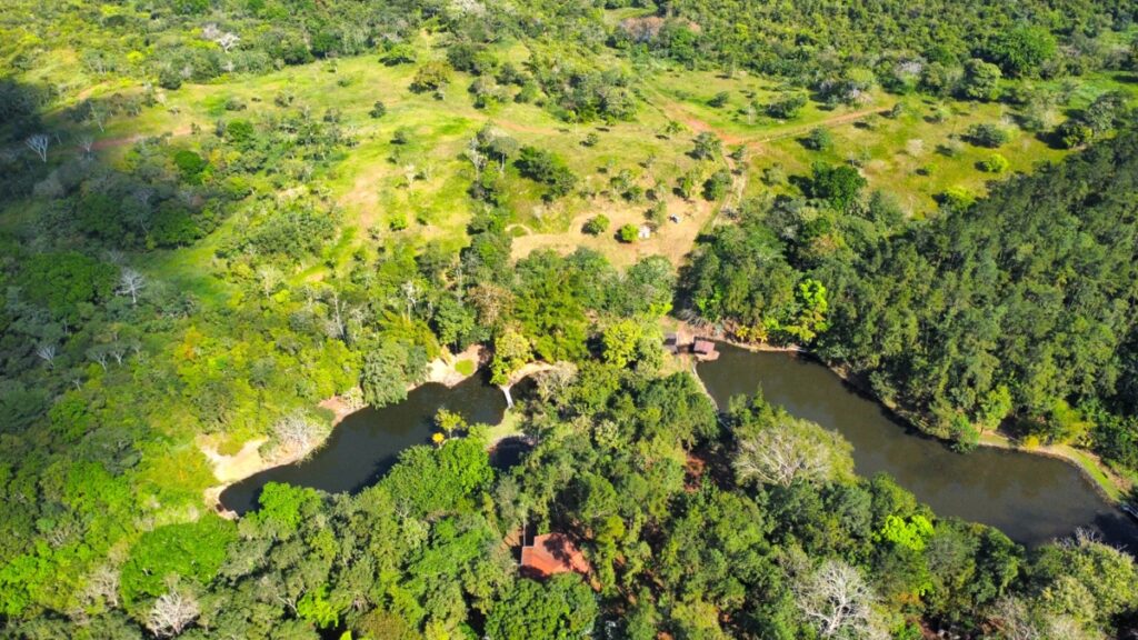 Property photo for land for sale in County Panama