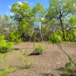 Property photo for land for sale in Bee County Texas