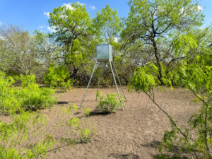 Property photo for land for sale in Bee County Texas