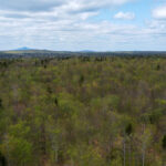 Property photo for land for sale in Aroostook County Maine