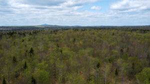 Property photo for land for sale in Aroostook County Maine