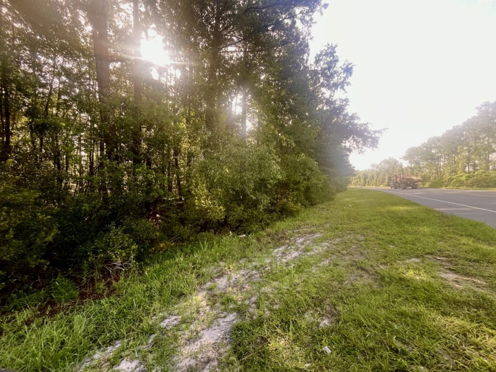 3e705757-15d0-41be-a022-4cccc591ce7d.jpg