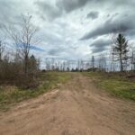 Property photo for land for sale in Pine County Minnesota