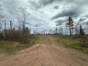 Property photo for land for sale in Pine County Minnesota