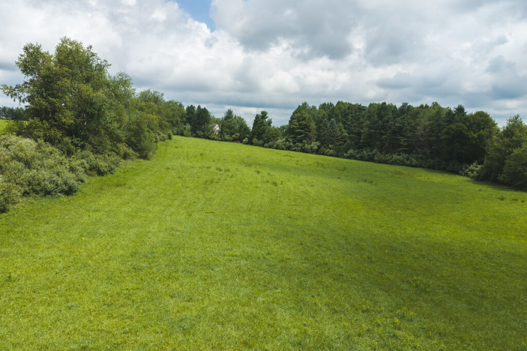 41d11711-bf36-4661-9c79-464578158965.jpg