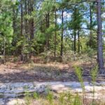 Property photo for land for sale in Marlboro County South Carolina
