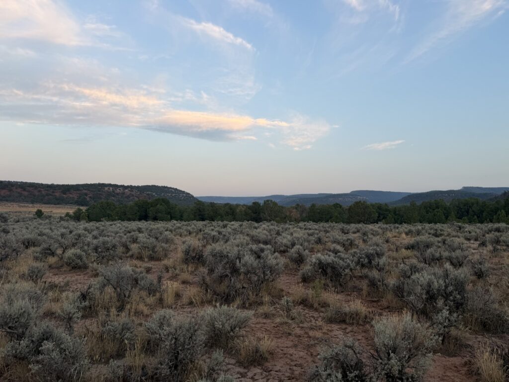 Property photo for land for sale in Mesa County Colorado