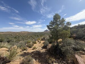 Property photo for land for sale in Mohave County Arizona