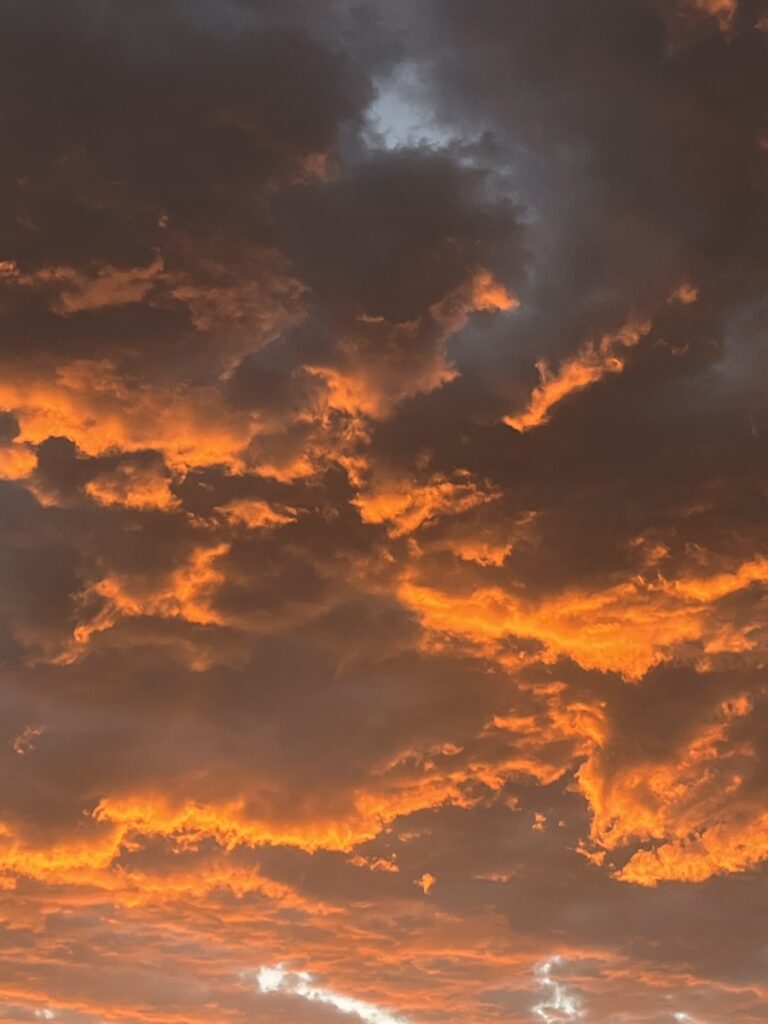4477d9d9-4896-4864-bfec-ec82014c30df.jpg