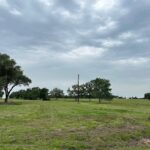 Property photo for land for sale in Lee County Texas