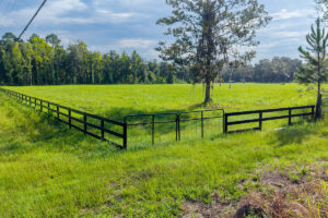Property photo for land for sale in Alachua County Florida
