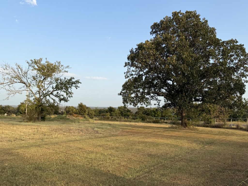49890d32-6816-4edb-8486-752b3530d5a8.jpg