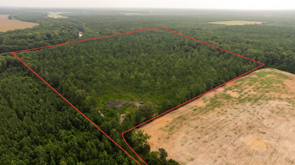 Property photo for land for sale in Morehouse County Louisiana