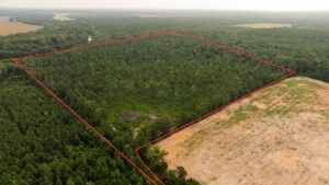 Property photo for land for sale in Morehouse County Louisiana