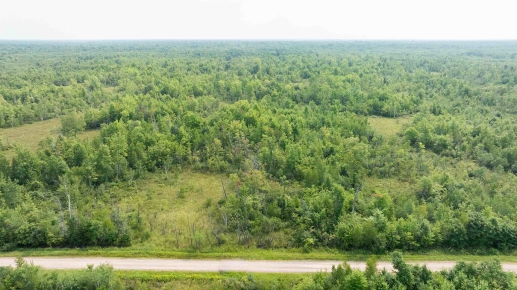 Property photo for land for sale in Juneau County Wisconsin