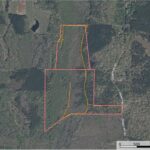 Property photo for land for sale in Union County Mississippi