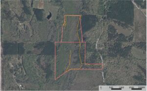 Property photo for land for sale in Union County Mississippi