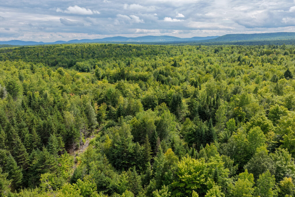Property photo for land for sale in Aroostook County Maine