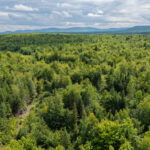 Property photo for land for sale in Aroostook County Maine