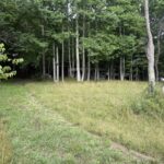 Property photo for land for sale in Floyd County Virginia