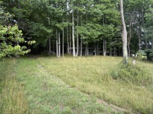 Property photo for land for sale in Floyd County Virginia