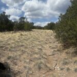 Property photo for land for sale in Huerfano County Colorado