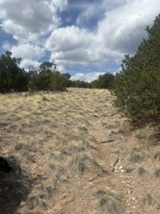 Property photo for land for sale in Huerfano County Colorado