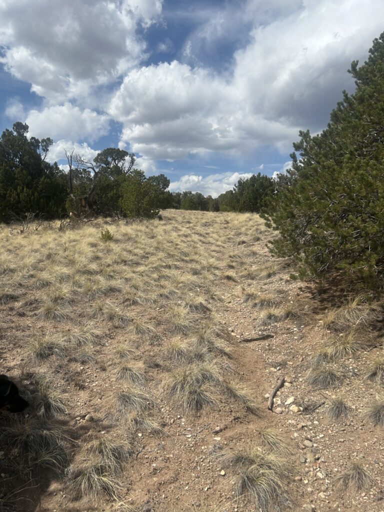 Property photo for land for sale in Huerfano County Colorado