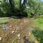Property photo for land for sale in Fulton County Arkansas