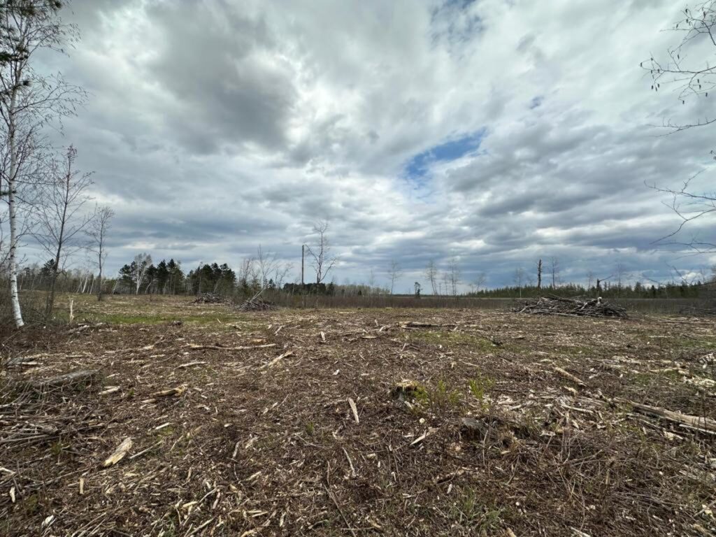 5421a53f-a043-4ede-b517-6eb158603096.jpg