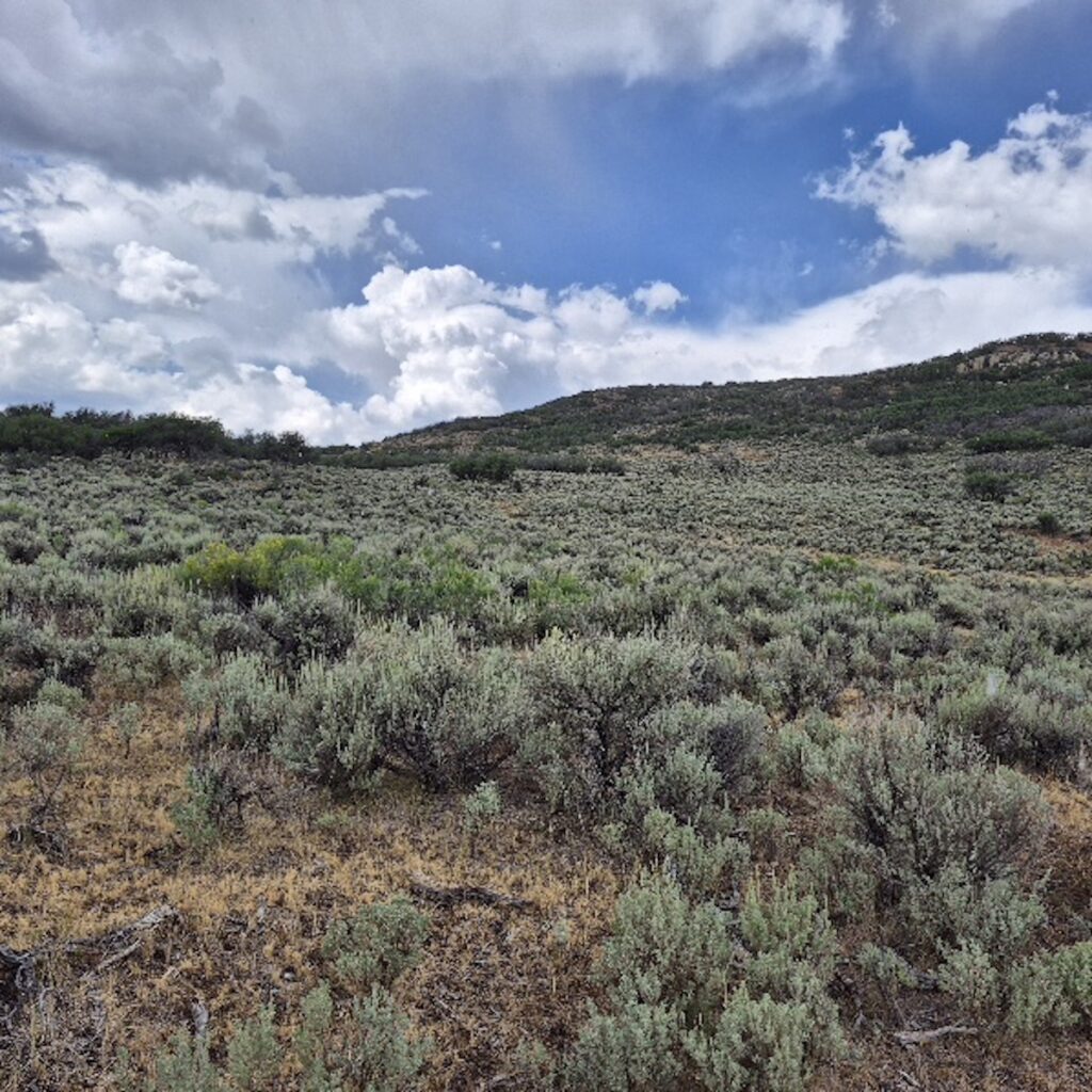 54af2527-bc0f-45ed-ad52-48d82a86358b.jpg