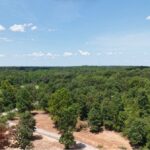 Property photo for land for sale in Izard County Arkansas
