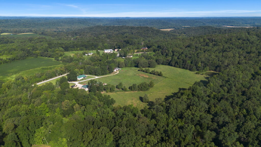 596024d1-3400-45fc-b300-294397b0e091.jpg