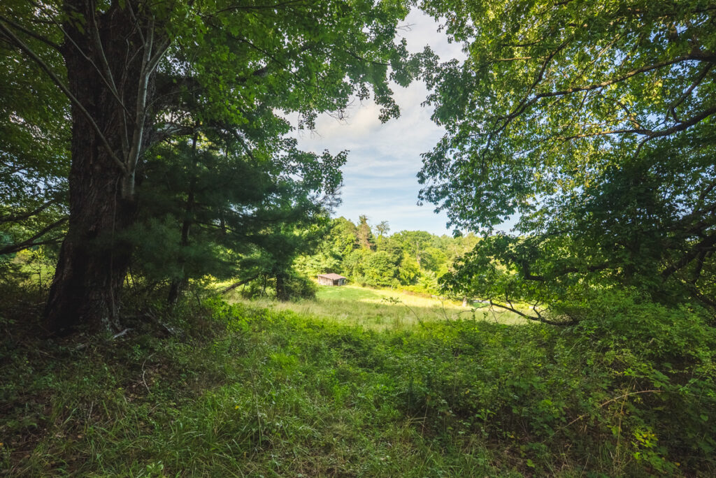 59eb0d87-4160-4915-89ef-3a7608aa8279.jpg