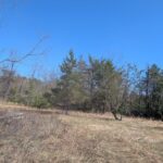 Property photo for land for sale in Montmorency County Michigan