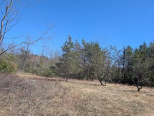 Property photo for land for sale in Montmorency County Michigan