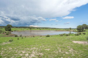 Property photo for land for sale in Otero County New Mexico