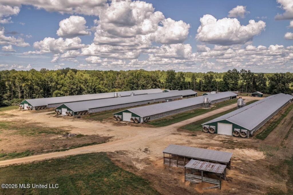 Property photo for land for sale in Lawrence County Mississippi