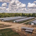 Property photo for land for sale in Lawrence County Mississippi