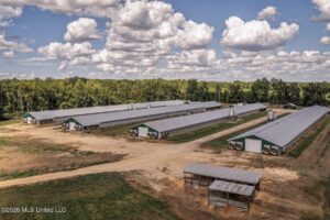 Property photo for land for sale in Lawrence County Mississippi