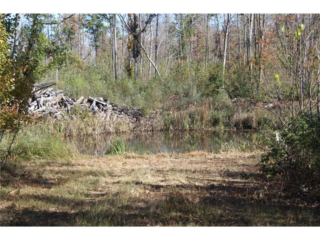 5d20ce87-81c4-4b9e-84fa-00c9560d78ad.jpg