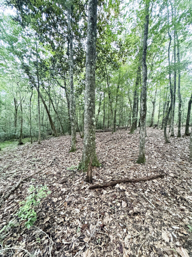 5d546cf4-ba8f-4425-b44c-f23f781cf6b5.jpg