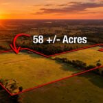 Property photo for land for sale in Wood County Texas
