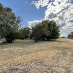 Property photo for land for sale in Greer County Oklahoma