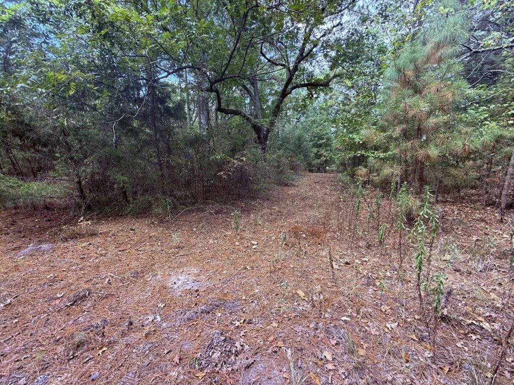 64f3c360-9012-4f0a-81d4-724104107656.jpg