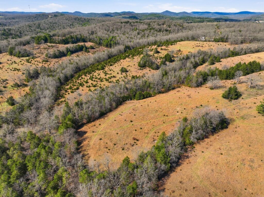 Property photo for land for sale in Ozark County Missouri