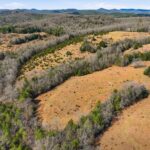 Property photo for land for sale in Ozark County Missouri